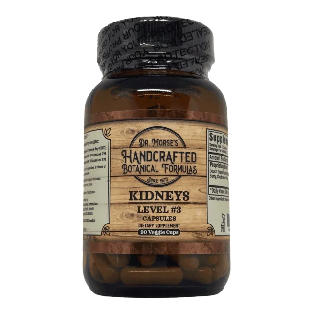 Kidneys – Level #3