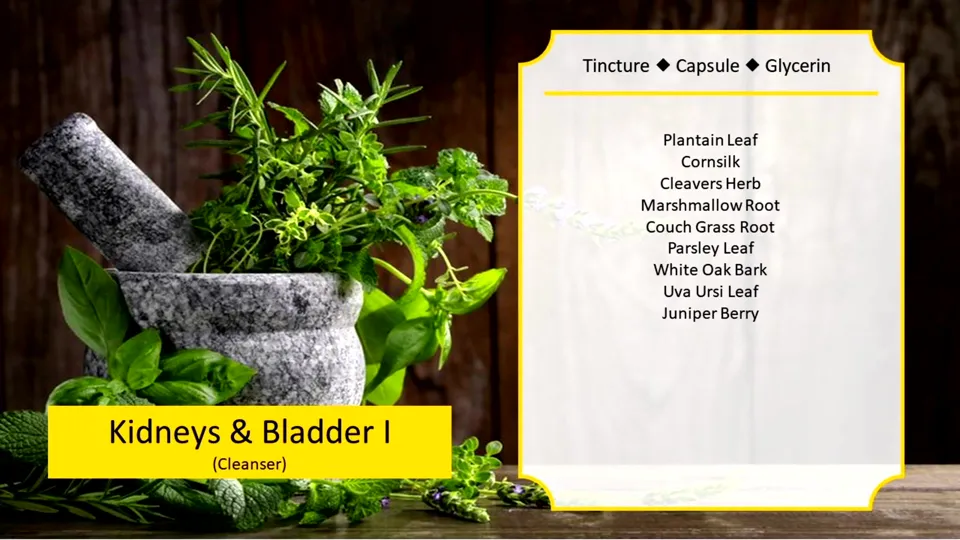 Okładka: Kidneys & Bladder (linia)