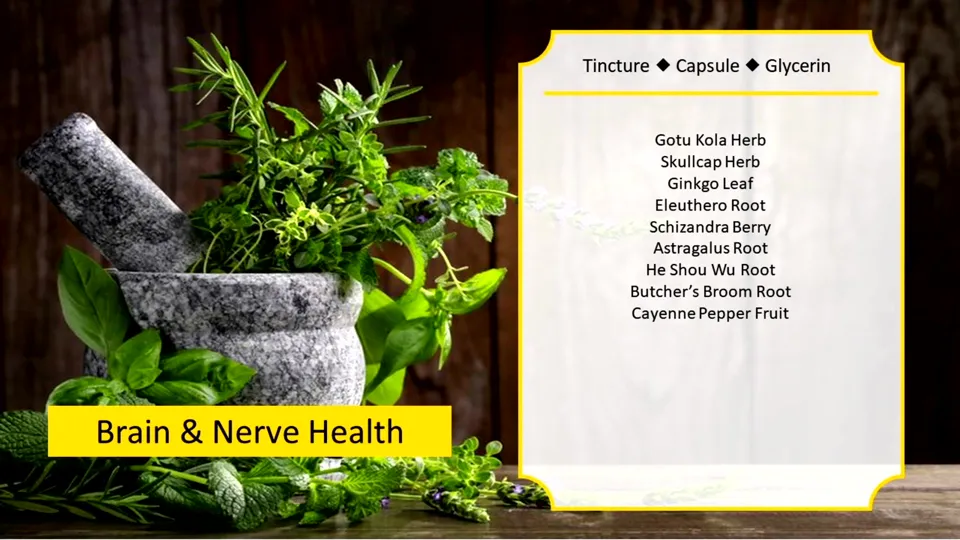 Okładka: Brain & Nerve Health (dziś Brain & Nervous Systems)