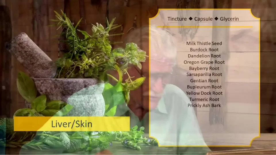 Okładka: Liver/Skin