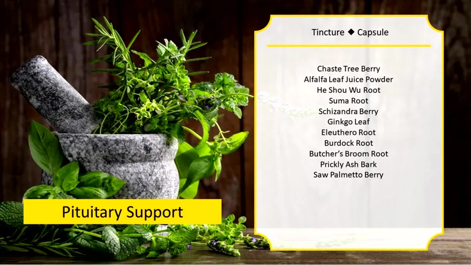 Okładka: Pituitary Support